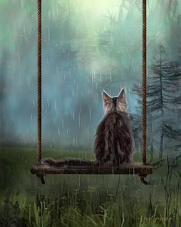 The Rain Fell, He Stayed