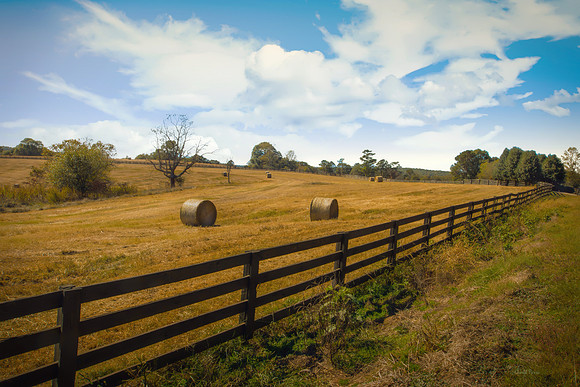 Hay Bales