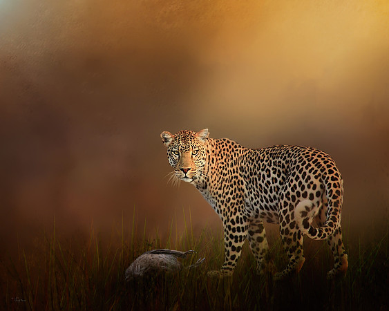Leopard with it's prey