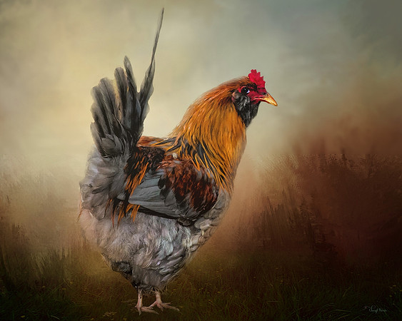 Hen