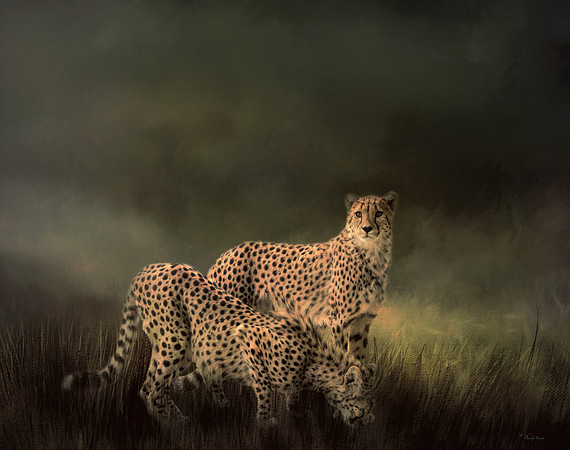 Evening Hunt