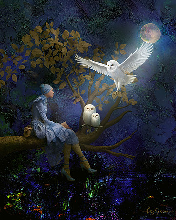 Night Companions