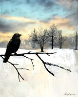 In Quiet Flight