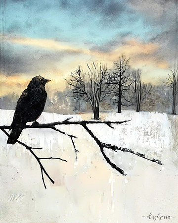 Winter Sentinal