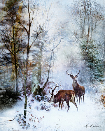 Winter Travelers