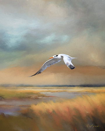 Fleeing the Storm