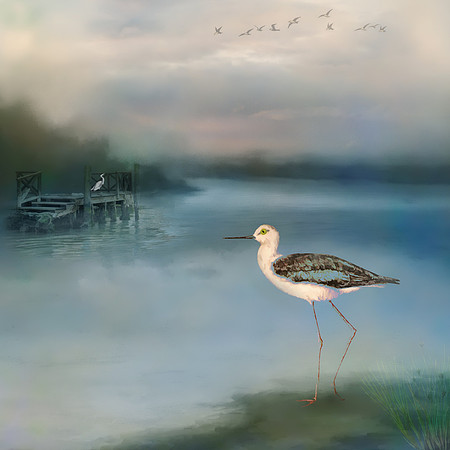 Morning at the Shore
