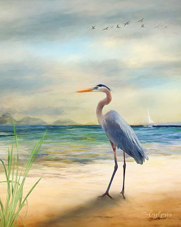 On the Beach