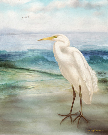 Egret on the Beach