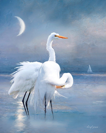 The Blue Calm Before Dawn