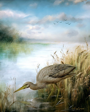 In the Shallows
