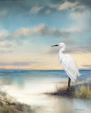 Ocean View