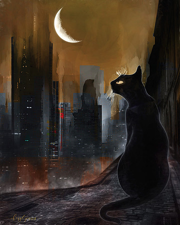 The Night Roamer