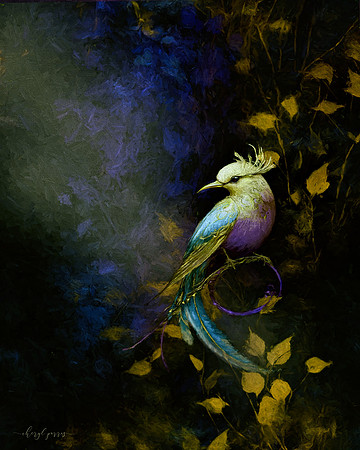 In the Quiet Glow
