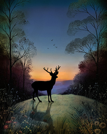 At the Edge of Light