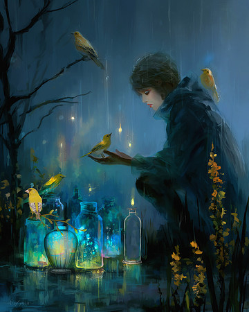 The Rain Collector