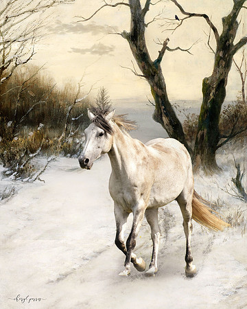 The Traveler