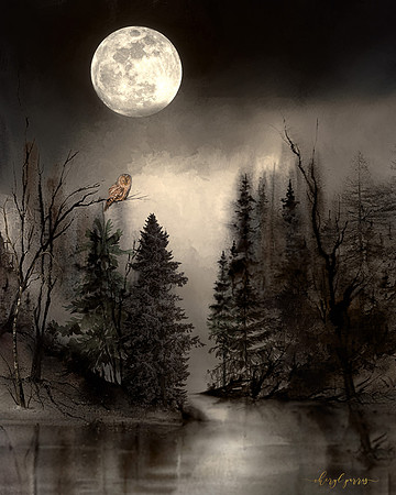 Moonlit River
