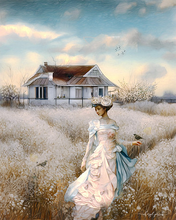 Fields of White
