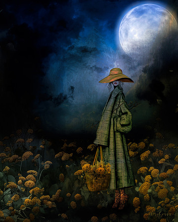 She Only Came At Night