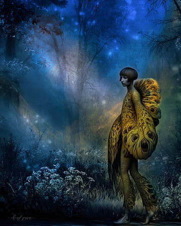 The Midnight Garden