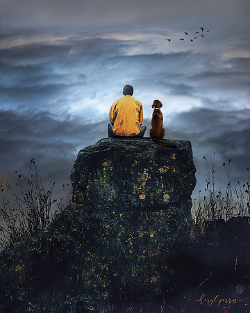Stillness Shared
