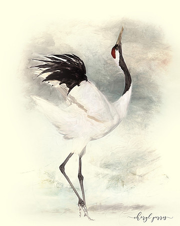 Red Crowned Crane