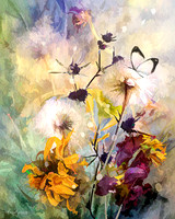 Petals and LIght
