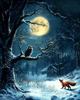 Where They Roam