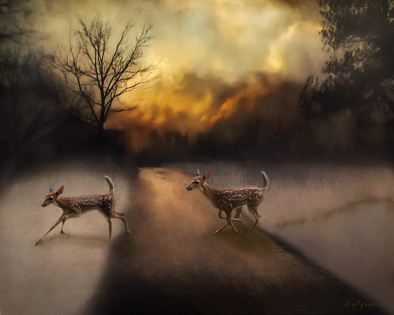 Deer Crossing