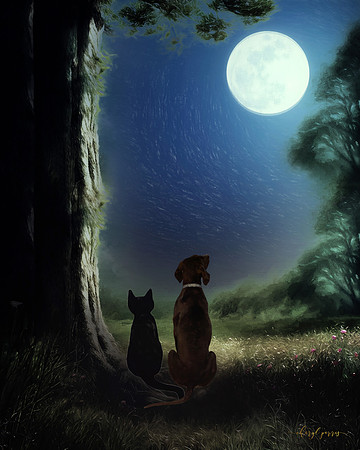 Moon Magic