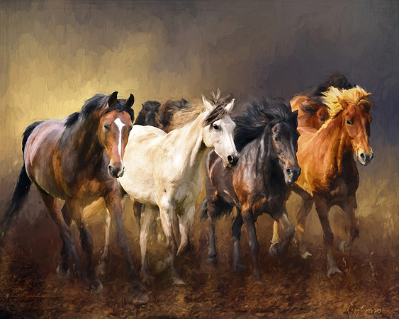 Wild Horses