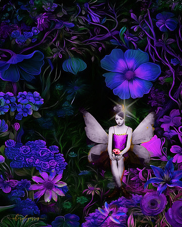 Nightwatch in the Fairy Meadow