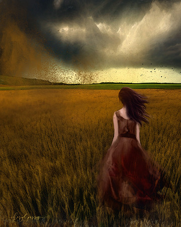 Storm Warnings