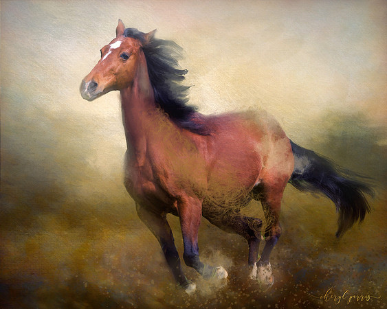 Freedom
