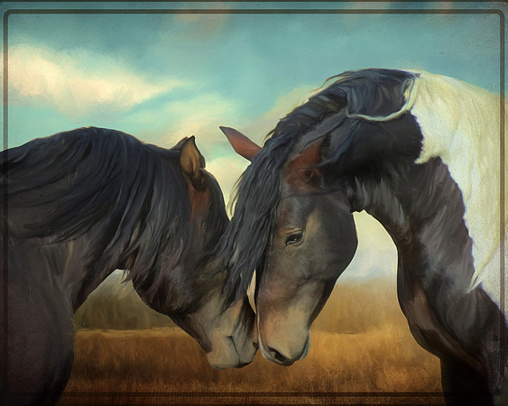Love in the Meadow