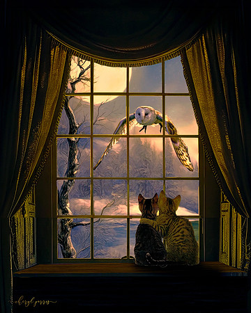 A Frightening View