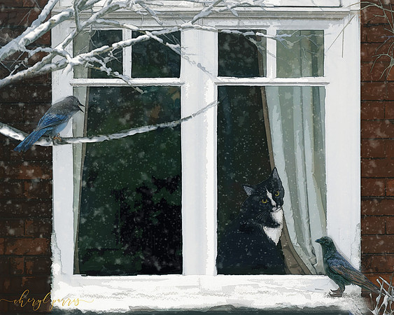 The Bird Watcher