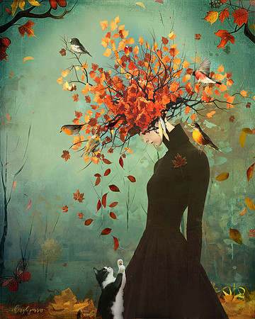 The Leaf Catcher