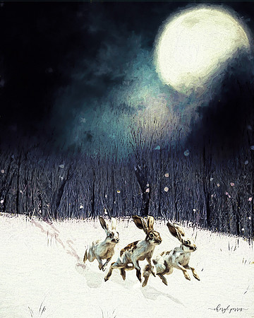 Through the Silent Field
