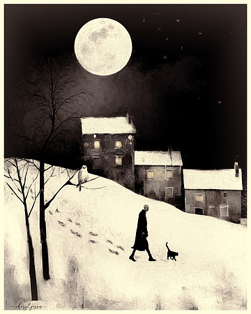 A Stranger in the Night