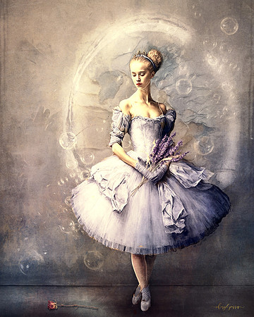 The Forgotten Rose