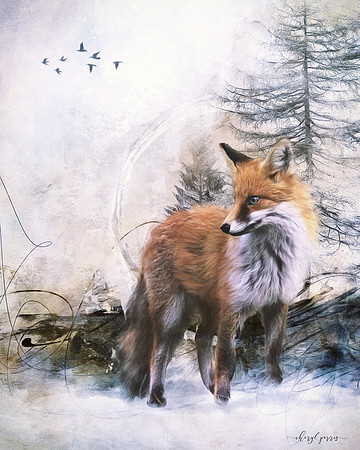 Winter Fox