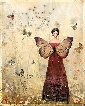 Aurora of the Butterfly Realm