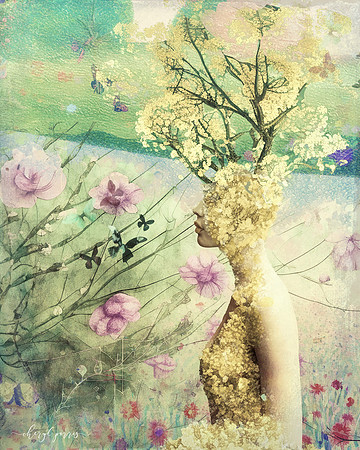 As the Wind Blows