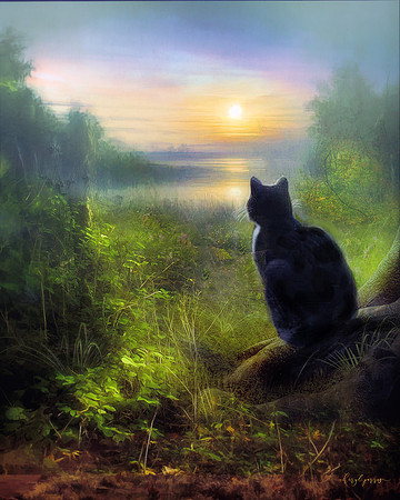 The Dawn Patrol