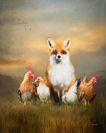 Fox and Friends