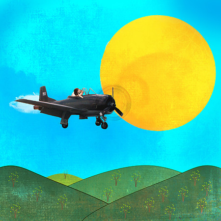 If Pigs Could Fly