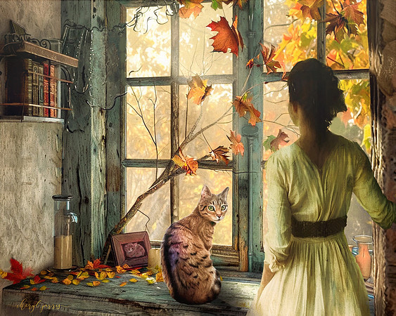 Autumn Reflections