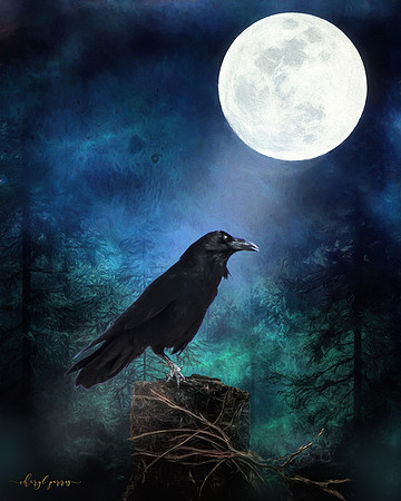 Midnight Sentinel